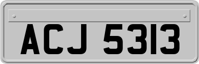 ACJ5313
