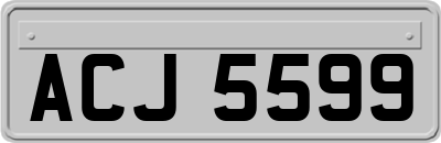 ACJ5599