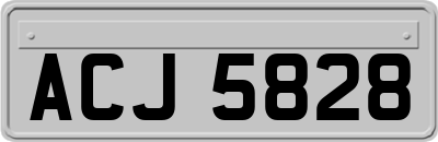 ACJ5828