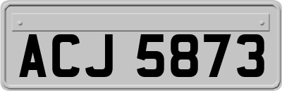 ACJ5873
