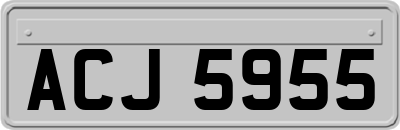 ACJ5955
