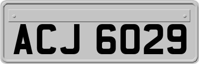 ACJ6029