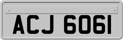 ACJ6061