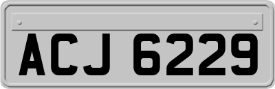ACJ6229
