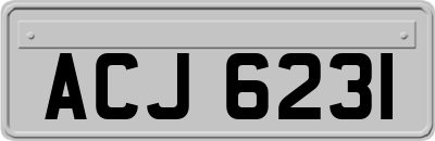 ACJ6231