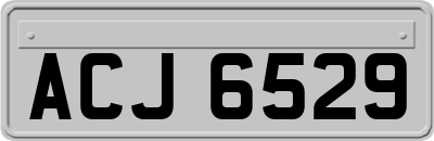 ACJ6529