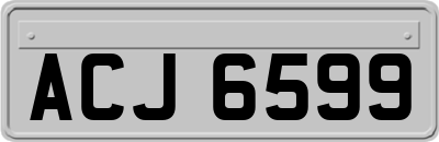 ACJ6599