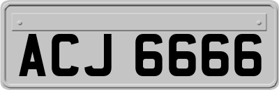 ACJ6666