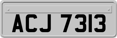ACJ7313