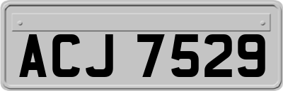 ACJ7529