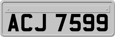 ACJ7599