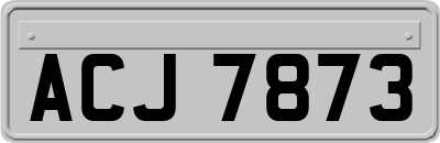 ACJ7873