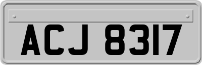 ACJ8317