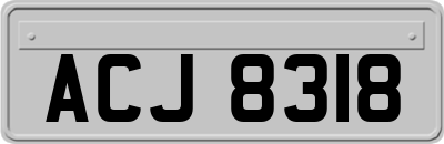 ACJ8318