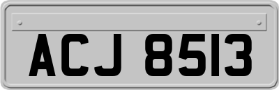 ACJ8513