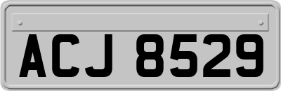 ACJ8529