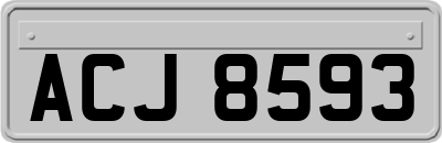 ACJ8593