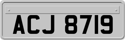 ACJ8719