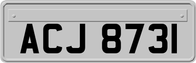 ACJ8731