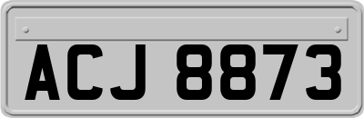 ACJ8873