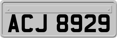 ACJ8929
