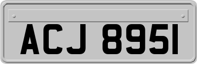 ACJ8951