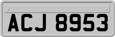 ACJ8953