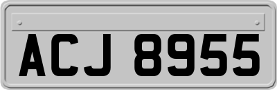 ACJ8955