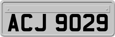 ACJ9029