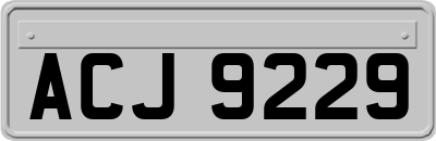 ACJ9229
