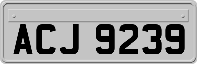 ACJ9239