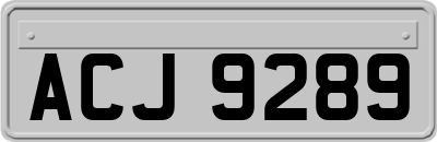 ACJ9289