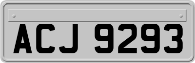 ACJ9293