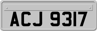 ACJ9317