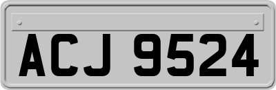 ACJ9524