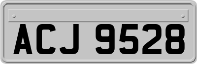 ACJ9528