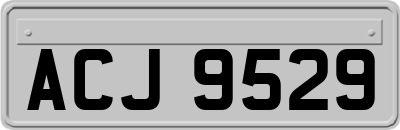 ACJ9529