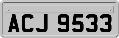 ACJ9533