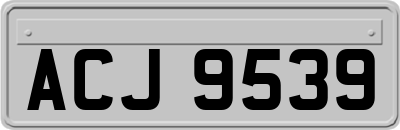 ACJ9539