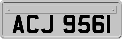 ACJ9561