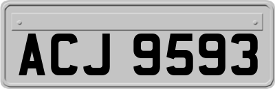 ACJ9593