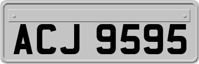 ACJ9595