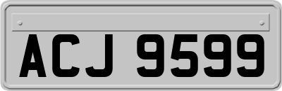 ACJ9599