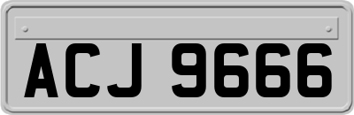 ACJ9666