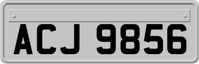 ACJ9856
