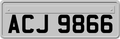ACJ9866