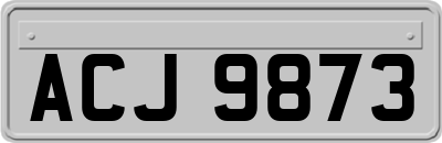 ACJ9873
