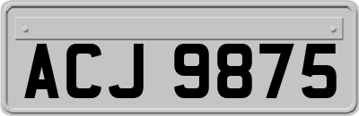 ACJ9875