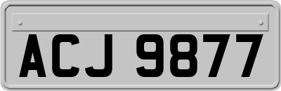 ACJ9877