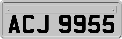 ACJ9955